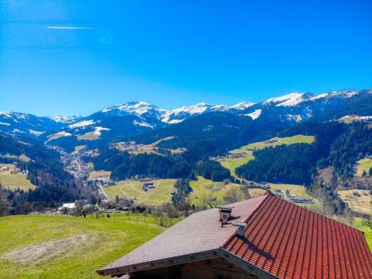 Wohnung zur Miete 2 Zimmer 60 m² Wildschönau-Oberau 6311