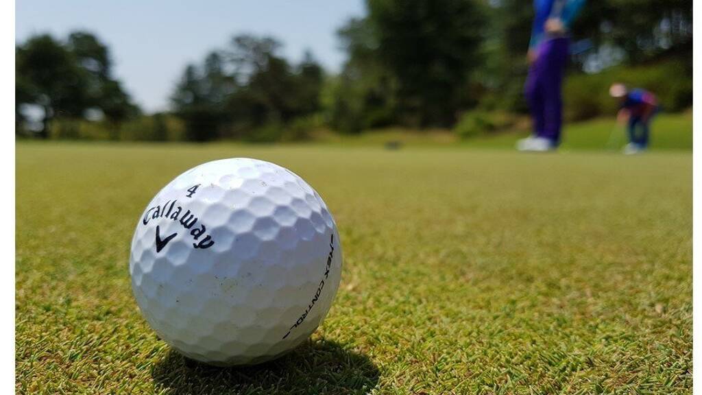 Wohnung zum Kauf - Erstbezug 340.000 € 3 Zimmer 65 m² EG Gerasdorf bei Wien 2201