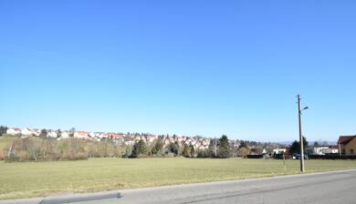 Grundstück zum Kauf 240.000 € 22.210 m² Grundstück Kleinpestitz/Mockritz Dresden 01217
