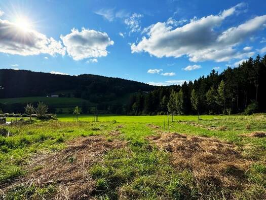 Grundstück zum Kauf 89.000 € 711 m² Grundstück Kollnburg Kollnburg 94262