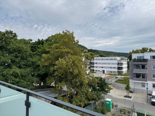Wohnung zur Miete 817 € 2 Zimmer 54,4 m² Dachgeschoss, 3. Geschoss frei ab sofort Joachim-Darjes-Str. 5 Zwätzen Jena 07745