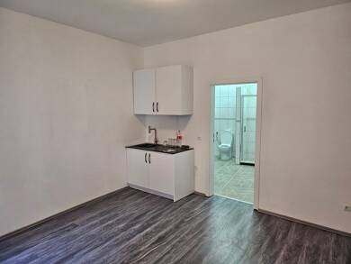 Wohnung zur Miete 320 € 1 Zimmer 34 m² EG frei ab sofort Trarbach Traben-Trarbach 56841