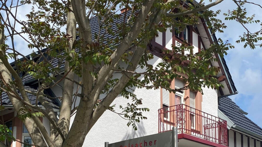 Bürofläche zur Miete provisionsfrei 120 € 4 m² Bürofläche Darmstädter Str. Auerbach Bensheim 64625