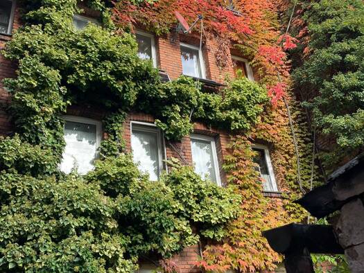 Wohnung zur Miete 550 € 3 Zimmer 60 m² frei ab sofort St Johannis Nürnberg 90419