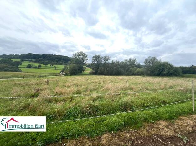 Grundstück zum Kauf 270.000 € 4.000 m² Grundstück Körrig Merzkirchen / Körrig 54439