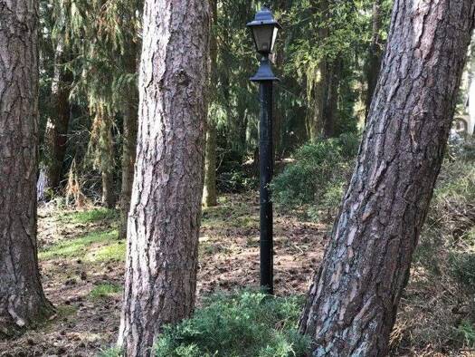 Grundstück zum Kauf provisionsfrei 175.000 € 1.000 m² Grundstück Lindwedel 29690