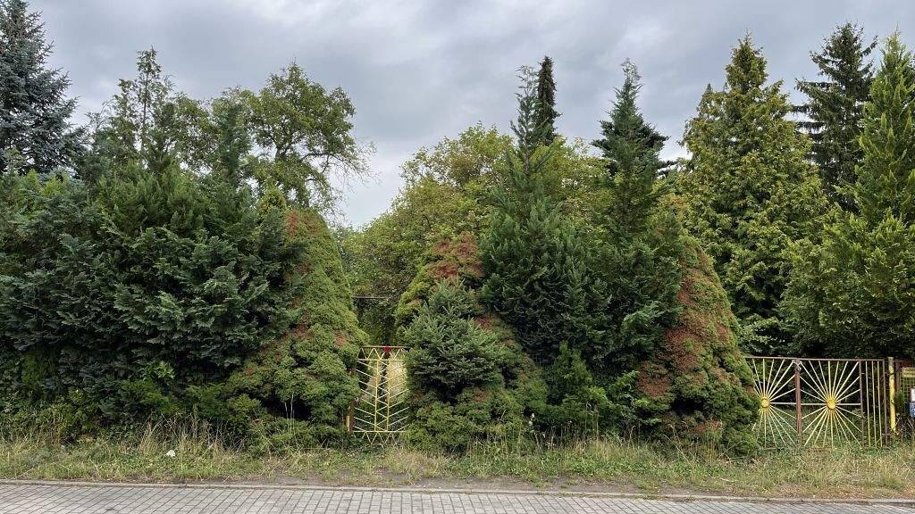 Grundstück zum Kauf 212.000 € 832 m² Grundstück Klabundring 56 Blankenfelde Blankenfelde-Mahlow 15827