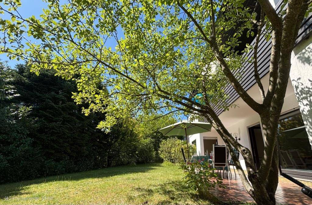 Immobilie in Schlangenbad - Schöner Wohnen in Georgenborn - Bild 1