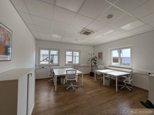 Büro zur Miete 550 € 25 m² Bürofläche Obergreith 8160