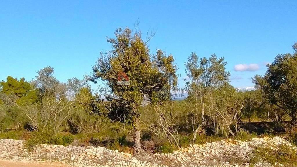 Land-/Forstwirtschaft zum Kauf 93.300 € Zdrelac, Banj