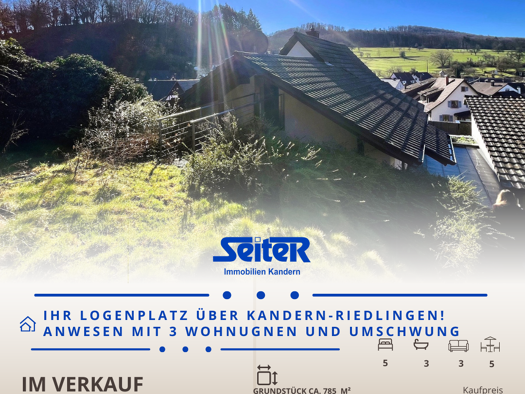 Mehrfamilienhaus zum Kauf 475.000 € 7 Zimmer 187 m² 785 m² Grundstück Riedlingen Kandern 79400
