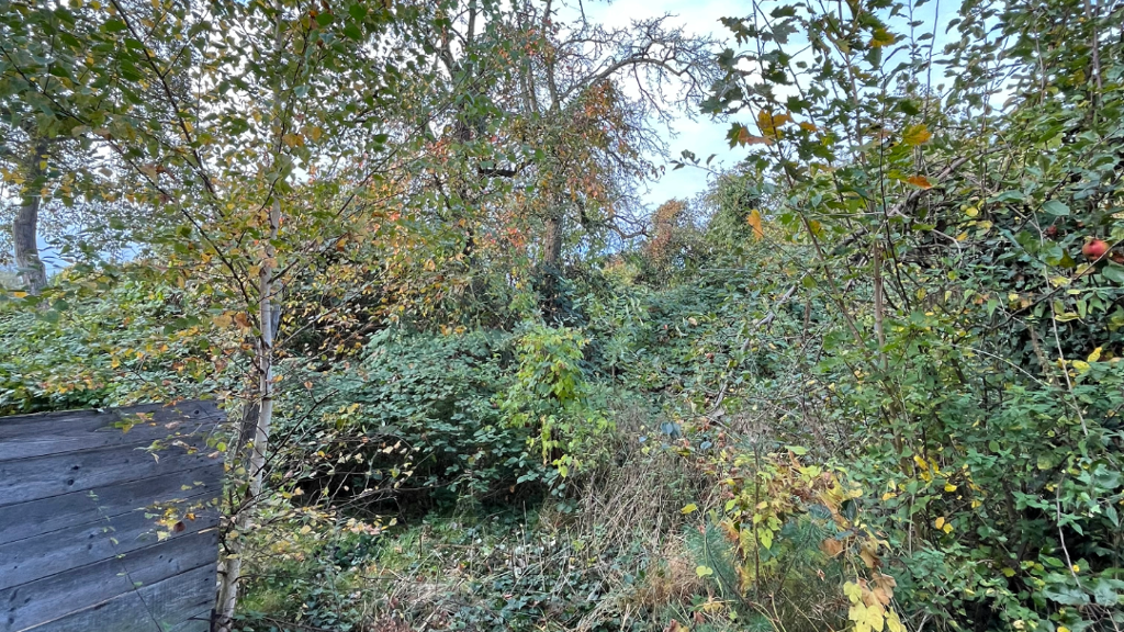 Grundstück zum Kauf 99.000 € 350 m² Grundstück Bohnsdorf Berlin 12526