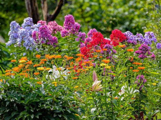 Freizeitgrundstück zum Kauf 99.500 € 778 m² Grundstück Fröndenberg Fröndenberg-Mitte 58730