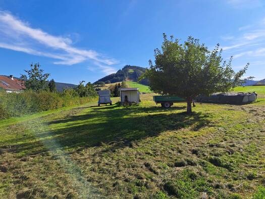 Grundstück zum Kauf 225.000 € 4.649 m² Grundstück Baiersbronn Baiersbronn 72270