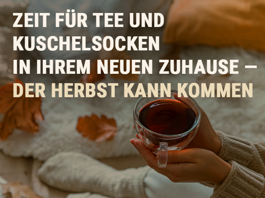 Wohnung zur Miete 439 € 2 Zimmer 49,6 m² 5. Geschoss Herzog-Ernst-Ring 25 Blumlage Celle 29221