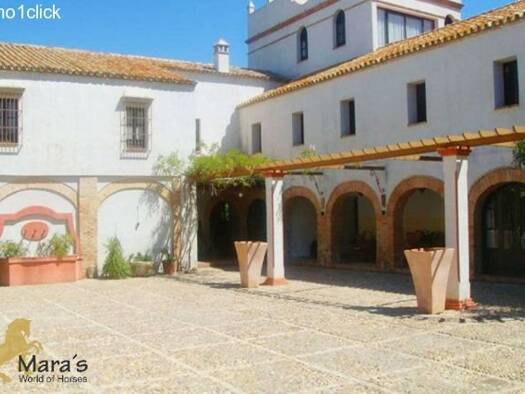 Hotel zum Kauf provisionsfrei 3.900.000 € 18 Zimmer 36 Betten 1.000 m² Gastrofläche Camino del suerte 10 Carmona 41410