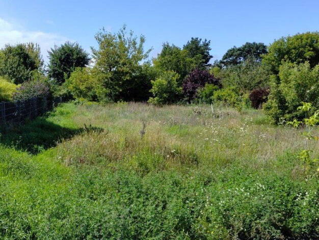 Grundstück zum Kauf provisionsfrei 520.000 € 745 m² Grundstück Kaulsdorf Berlin 12621