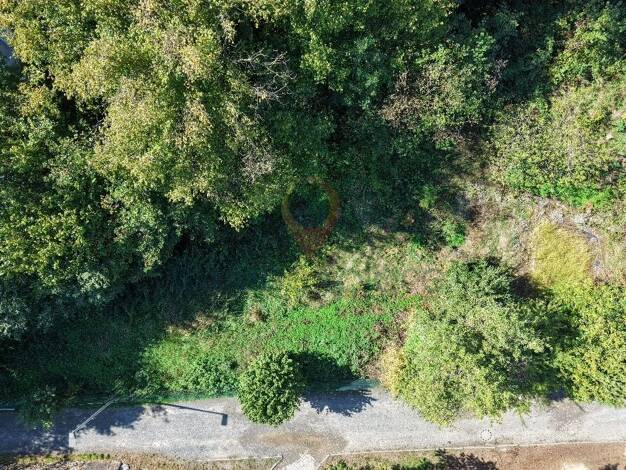 Grundstück zum Kauf 249.000 € 497 m² Grundstück Usingen Usingen 61250