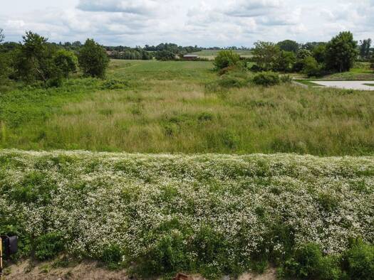 Grundstück zum Kauf 339.000 € 1.158 m² Grundstück Taucha 04425