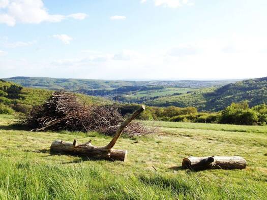 Grundstück zum Kauf 4.175 m² Grundstück Eppenhain Kelkheim (Taunus) 65779