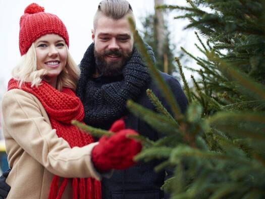 Einfamilienhaus zum Kauf 359.900 € 4 Zimmer 154,9 m² 574 m² Grundstück Wolbrechtshausen Nörten-Hardenberg 37176