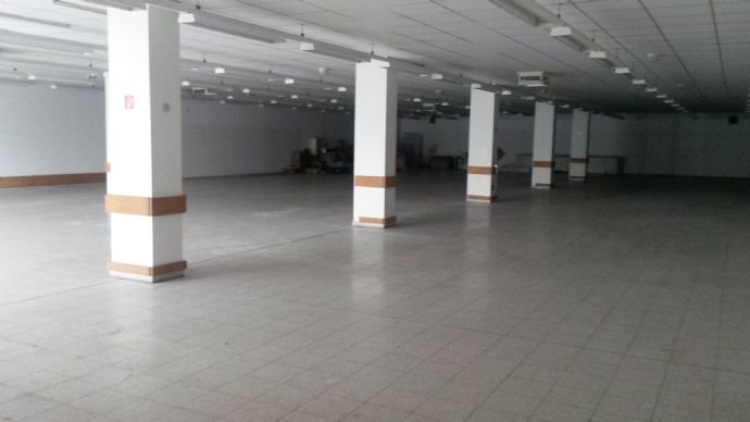 Lagerhalle zur Miete 3,90 € 550 m²<br/>Lagerfläche von 450 m² bis 550 m²<br/>Teilbarkeit Christian-Kreuzer-Straße 12 Altenstadt Altenstadt a.d.Waldnaab 92665