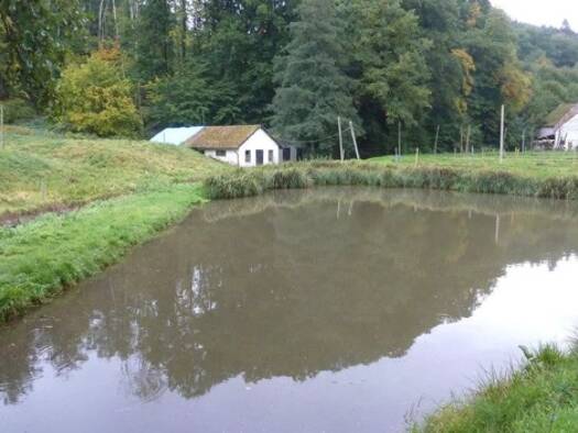 Einfamilienhaus zum Kauf 1.150.000 € 3 Zimmer 1 m² 55.000 m² Grundstück Kirf 54441