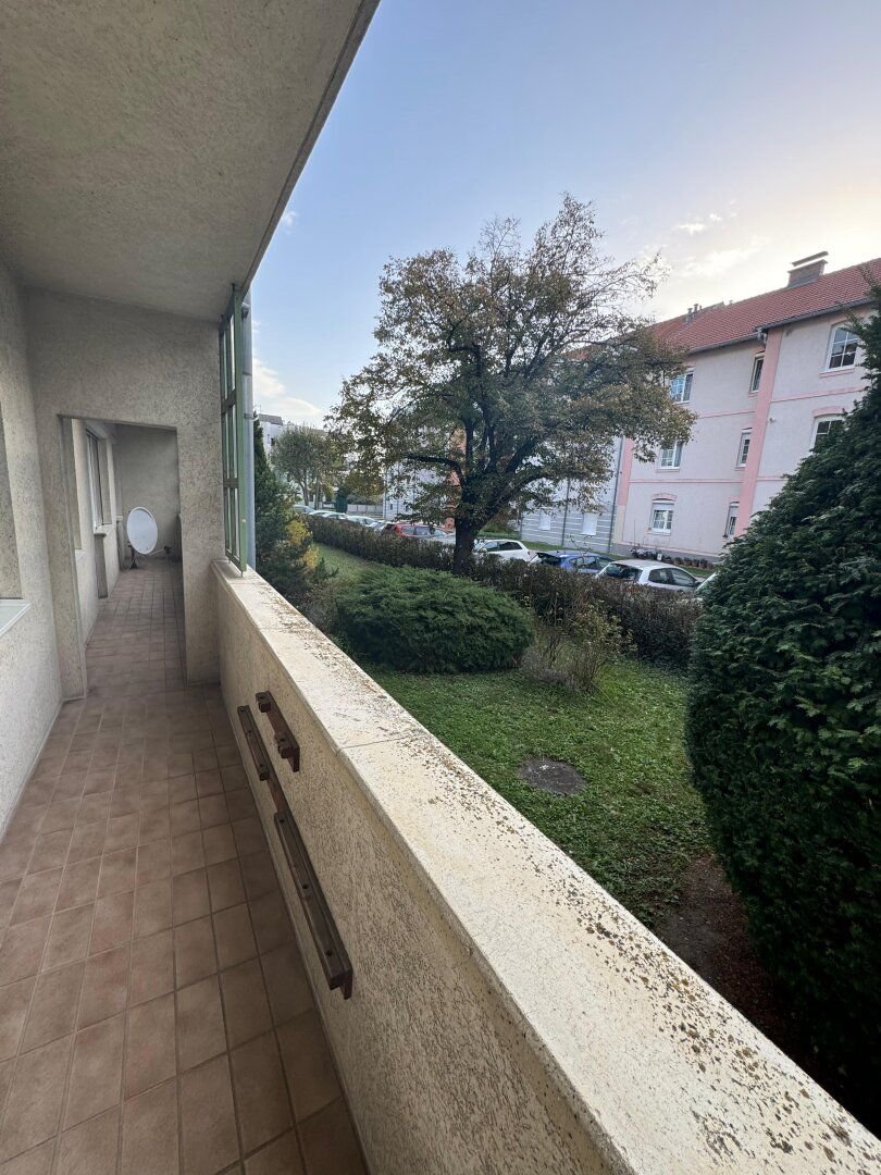 Wohnung zum Kauf 149.000 € 3 Zimmer 62,9 m²<br/>Wohnfläche EG<br/>Geschoss Neufeld an der Leitha 2491