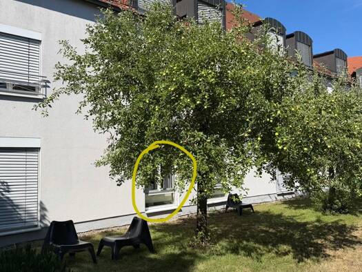 Studio zur Miete 539 € 1 Zimmer 21 m² frei ab 01.08.2026 Ingolstadt 85049