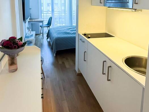 Wohnung zum Kauf 145.000 € 1 Zimmer 21 m² 1. Geschoss frei ab sofort Innenstadt Augsburg 86153