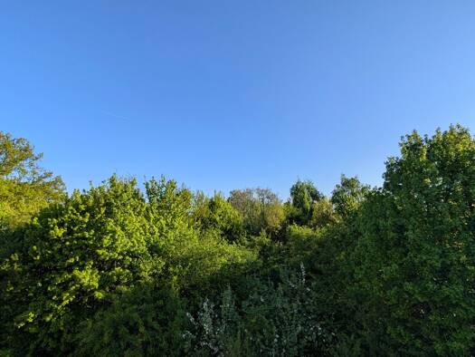 Wohnung zur Miete 1.150 € 3 Zimmer 92,6 m² Geschoss 2/3 frei ab 01.01.2026 Steimker Berg Wolfsburg 38446