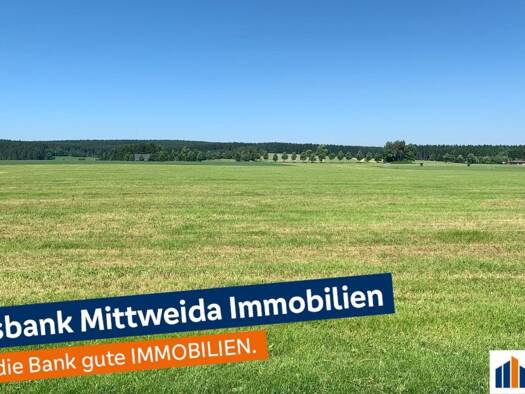Gewerbegrundstück zum Kauf 50.000 € 4.175 m² Grundstück Geyer 09468
