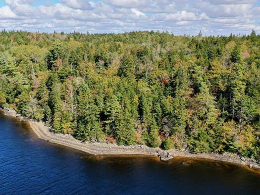 Land-/Forstwirtschaft zum Kauf 2.100.000 $ 7.040.000 m² Highway 203 East Kemptville