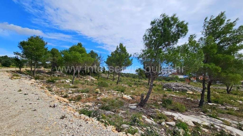 Land-/Forstwirtschaft zum Kauf 2.920.565 € Tribunj