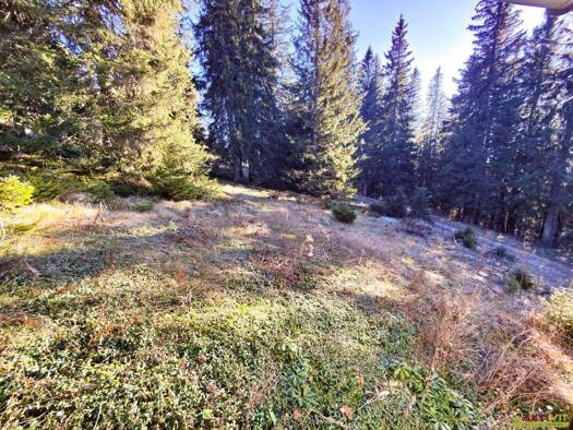 Grundstück zum Kauf 60.000 € 870 m² Grundstück Lobmingtal 8592