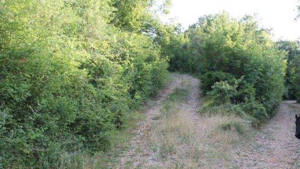 Grundstück zum Kauf 28.000 € 1.000 m² Grundstück Vidikovac 85357