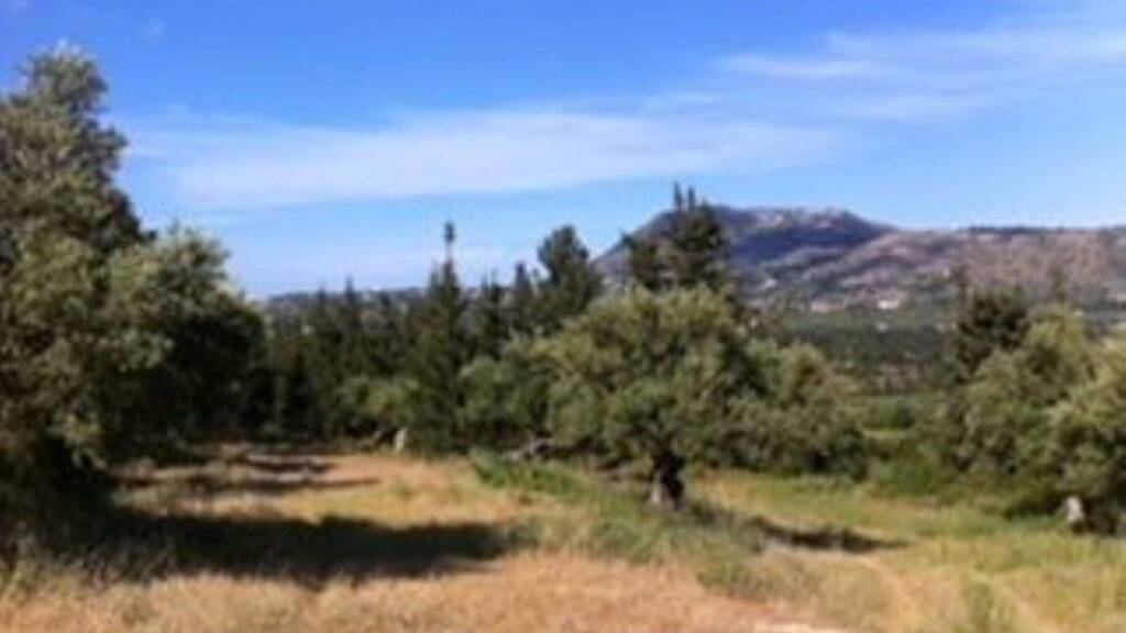 Grundstück zum Kauf 180.000 € 6.673 m² Grundstück Douliana 730 03