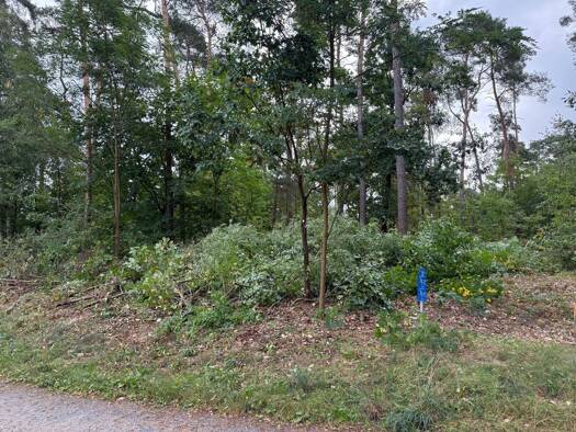 Grundstück zum Kauf 165.000 € 1.218 m² Grundstück Prenden Wandlitz 16348