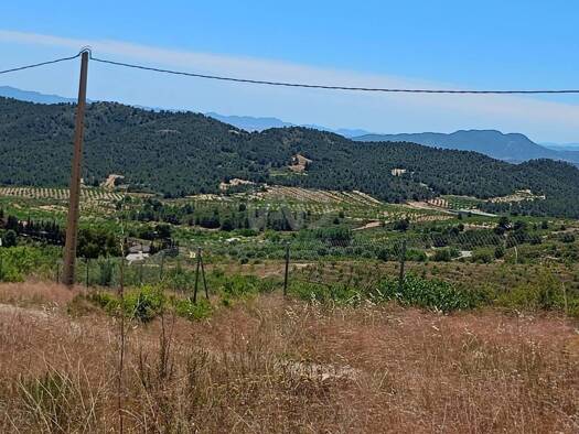 Acker-/Waldstück zum Kauf 14.000 € Lorca 30814