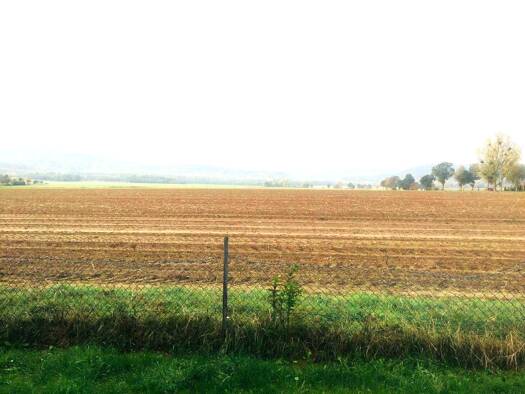 Wohnung zur Miete 350 € 2 Zimmer 51,1 m² EG Am Ziegelhof 6 A Eldagsen Springe 31832