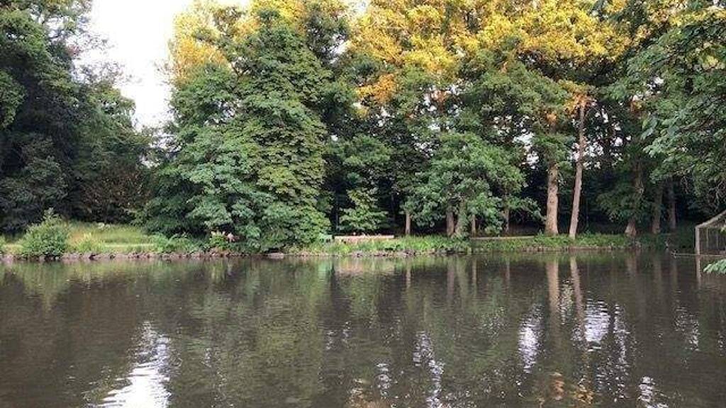 Terrassenwohnung zum Kauf als Kapitalanlage geeignet 349.000 € 2 Zimmer 85 m² Birken Bayreuth 95447