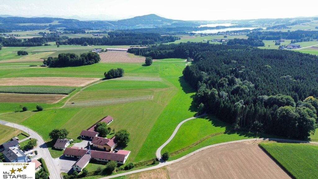 Haus zum Kauf 695.000 € 124 m² 790 m² Grundstück Palting 5163