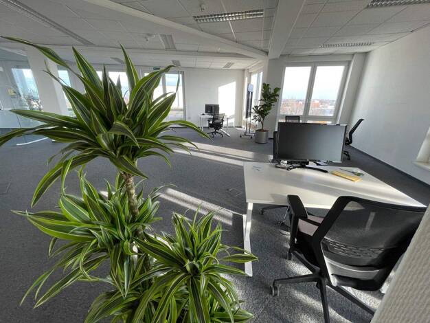 Bürofläche zur Miete provisionsfrei 249 € 4 m² Bürofläche Breitenbachstraße Borsigwalde Berlin 13403