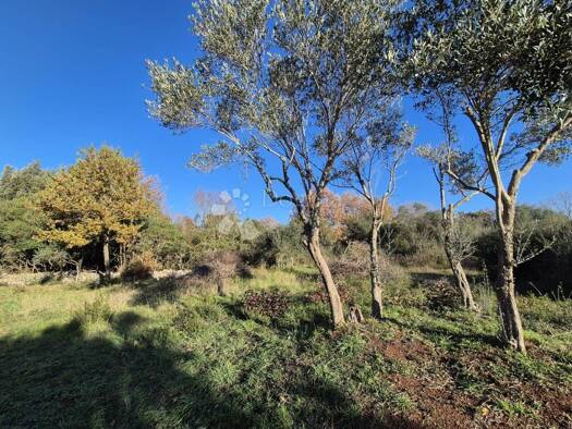 Acker-/Waldstück zum Kauf 45.000 € Rovinj Rovinj 52210