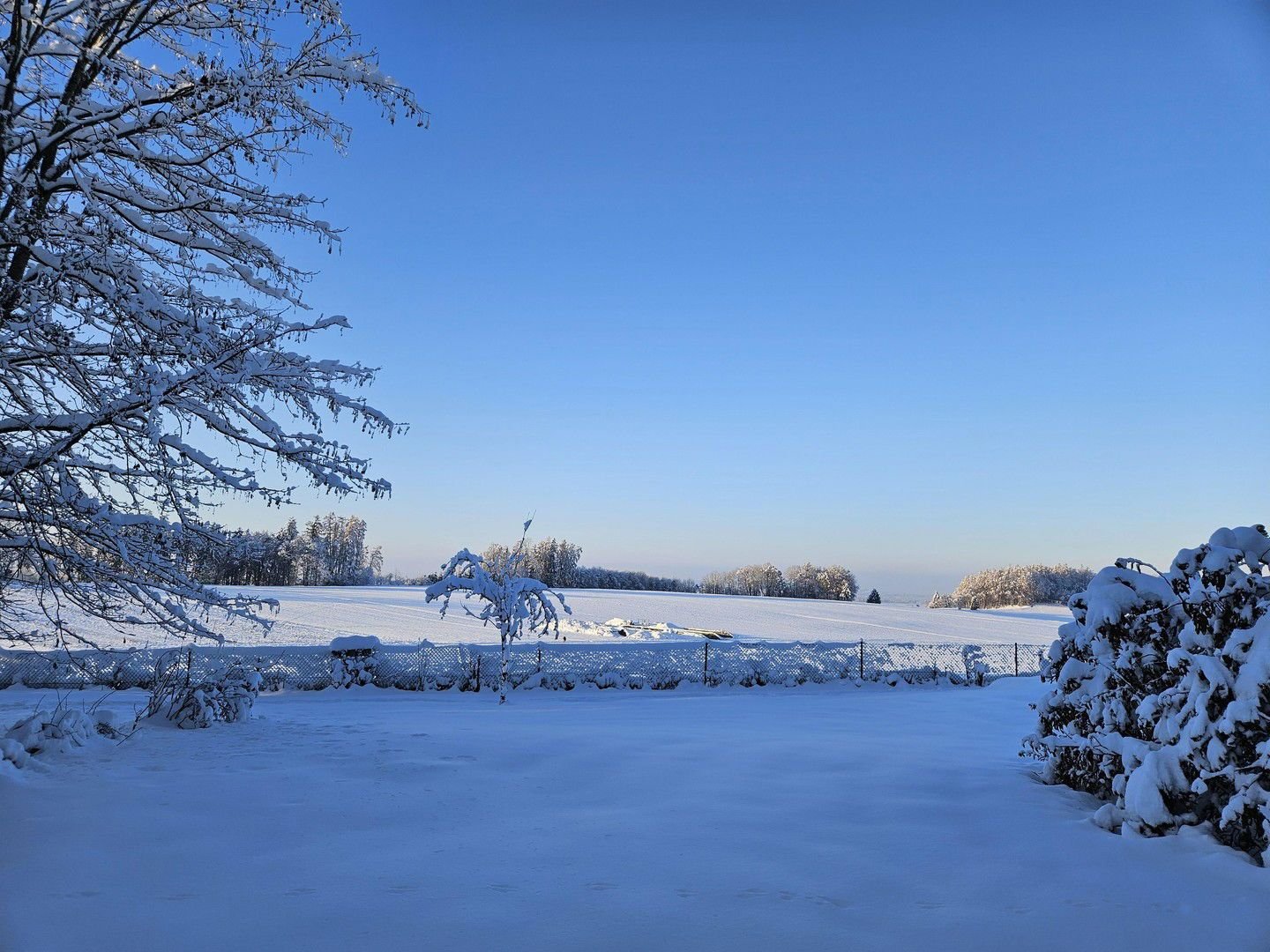 Bauernhaus zum Kauf provisionsfrei 1.250.000 € 11 Zimmer 336 m²<br/>Wohnfläche 4.406 m²<br/>Grundstück Otterwaldstraße 37 Niederrieden 87767