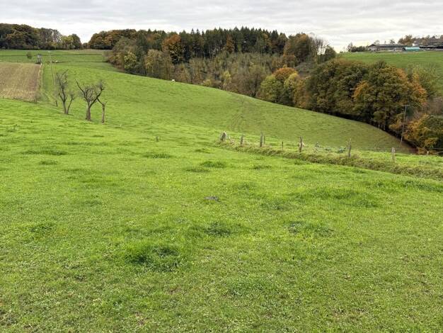 Landwirtschaftliche Fläche zum Kauf 190.000 € 82.312 m² 82.312 m² Grundstück Vilkerath Overath 51491