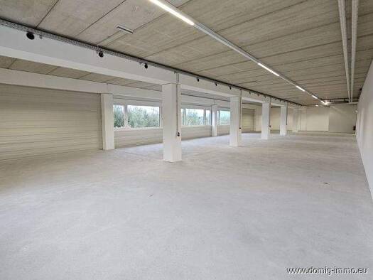 Lagerhalle zur Miete 331 m² Lagerfläche Dr.-Walter-Zumtobel-Straße 13 Dornbirn 6850
