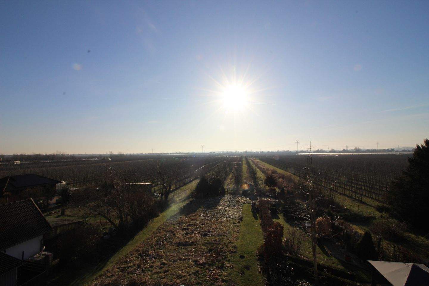 Immobilie in Hollern-Twielenfleth - Mehrfamilienhaus mit Elbblick plus zusätzlichem Bauland im Alten Land - Bild 4