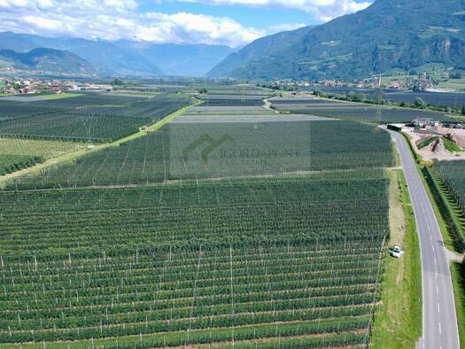 Land-/Forstwirtschaft zum Kauf 409.000 € 5.109 m² Grundstück Eppan an der Weinstraße 39057