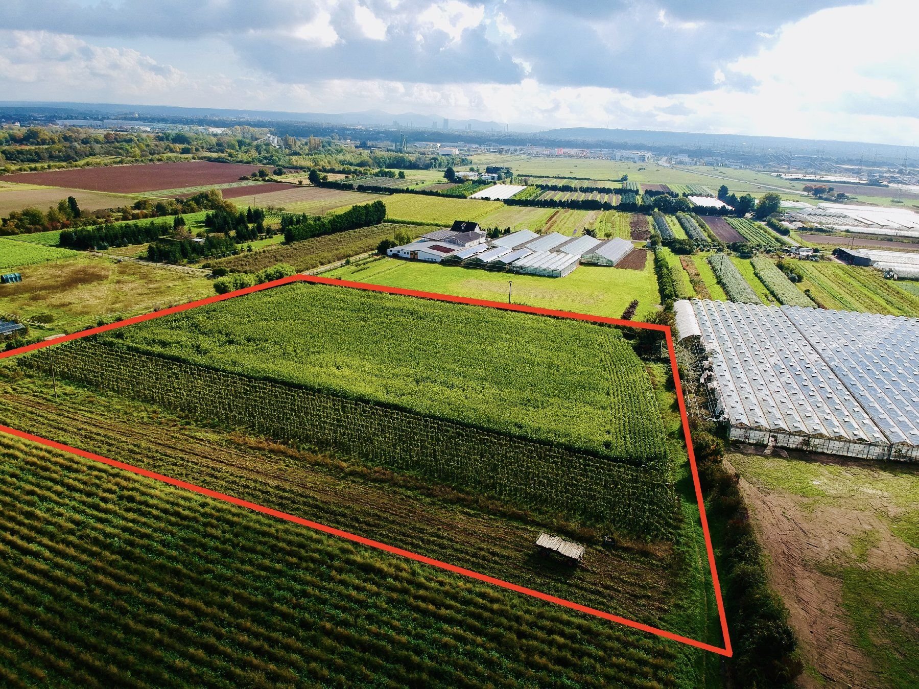 Land-/Forstwirtschaft zum Kauf 170.000 € 15.654 m²<br/>Grundstück Bornheim Bornheim 53332